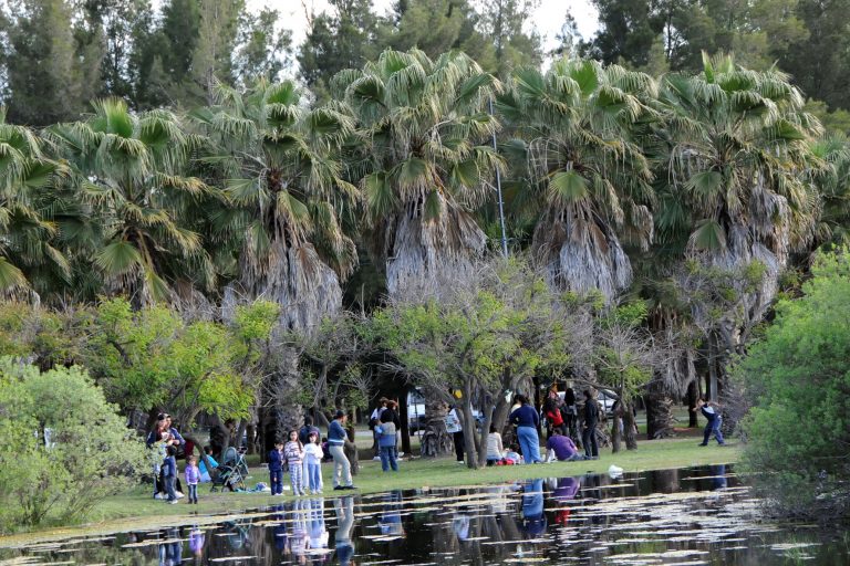 Manos voluntarias plantarán mil árboles nativos en el Bosque de los Constituyentes