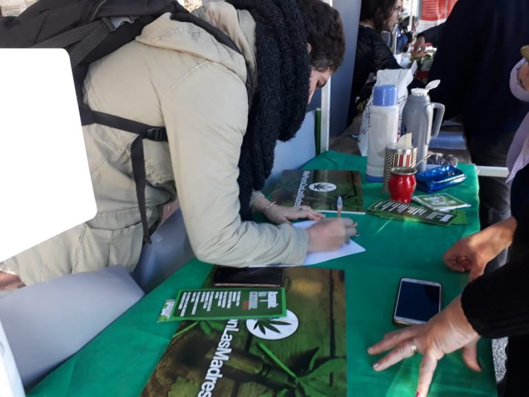 Fuerte adhesión a la campaña en favor de Madres que se Plantan