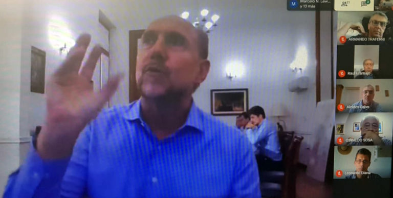 Rasetto y los Senadores en videoconferencia con Omar Perotti