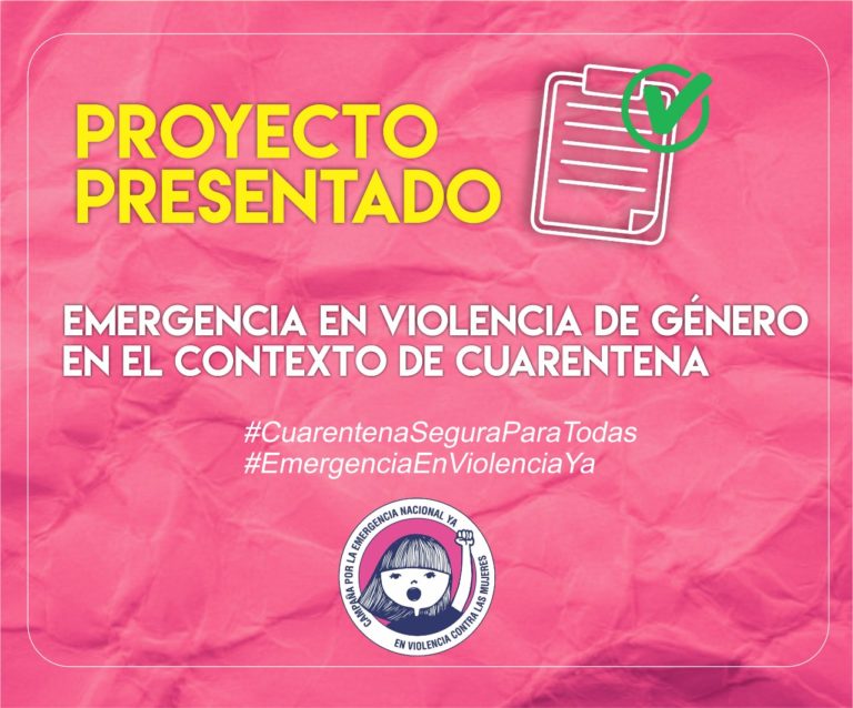 Piden que se declare de forma inmediata la Emergencia en Violencia de Género en contexto de Cuarentena