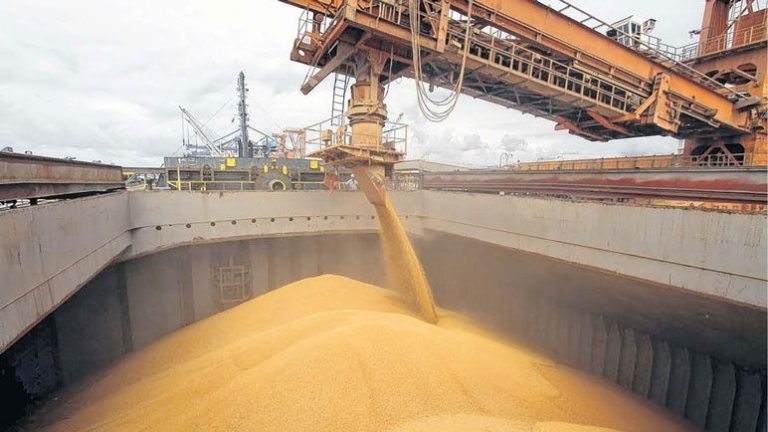 Récord de carga de cereales en el puerto de Rosario