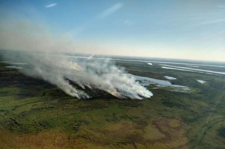 Incendios en las Islas: Concejales respaldaron la presentación judicial de la Municipalidad de Rosario