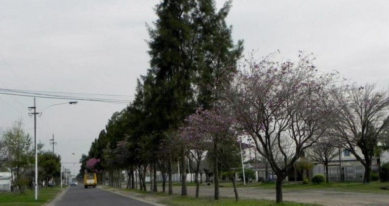 Se establece cuarentena sanitaria a la ciudad de Villa Ocampo