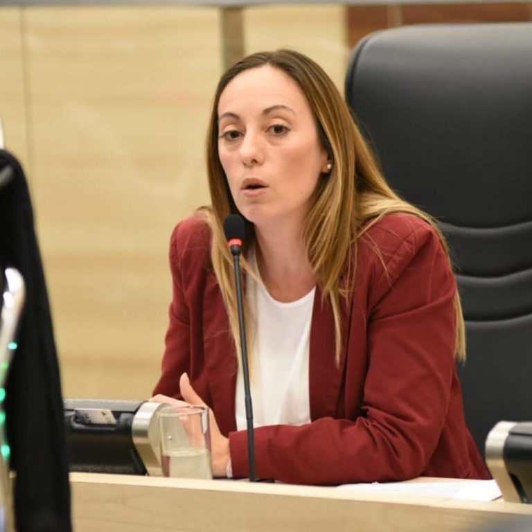 Ghilotti: “Nos manifestamos en contra de la llegada del presidente y su comitiva para el día de la bandera”