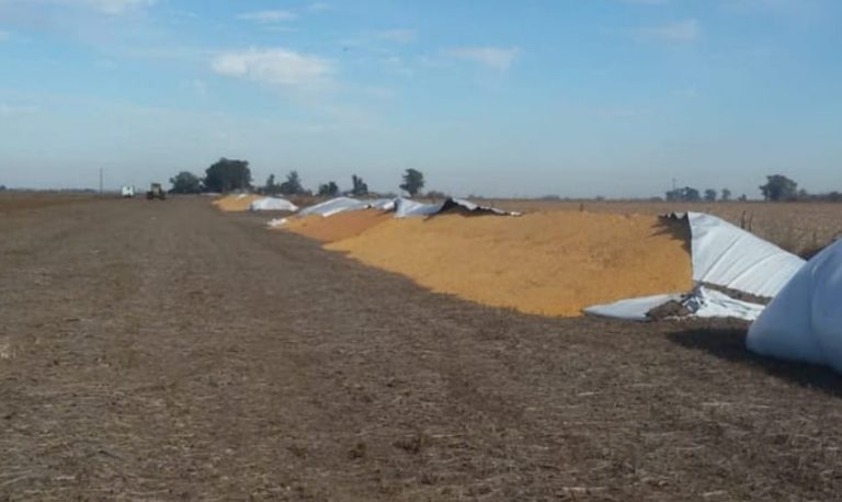 Diseñan un mapa para registrar daños en establecimientos agropecuarios