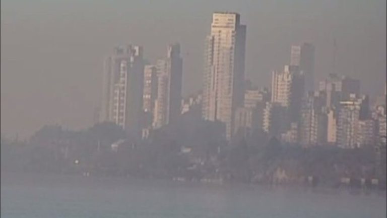 Puro Humo: ante la deuda pendiente de la Justicia, piden la intervención del humedal