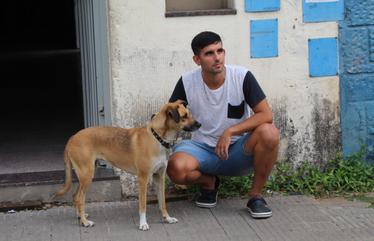 Imusa: récord de adopciones en junio