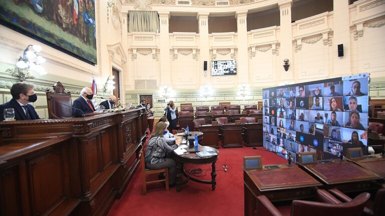 La Cámara baja realizó la primera sesión virtual