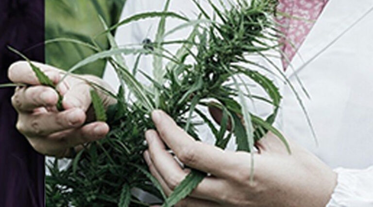 Políticas de drogas, un cambio impostergable