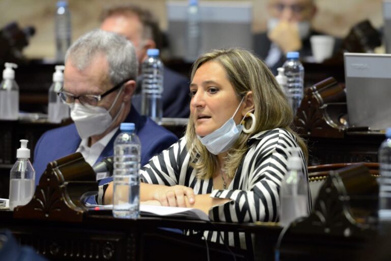 Lucila Lehmann: “A este gobierno le cuesta entender que no todo da lo mismo”