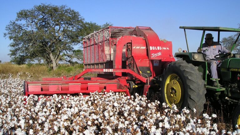 La provincia duplicará los recursos que recibe del Fondo Algodonero Nacional