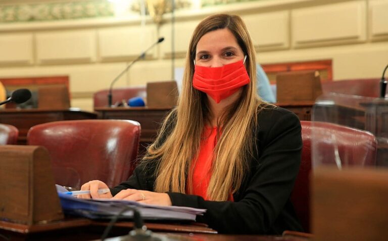 ‘‘El gobierno provincial desaprovechó recursos para asistir a los sectores golpeados por la pandemia’’