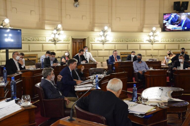 Pipi Traferri lleva presentados más de 30 proyectos de ley en 2021