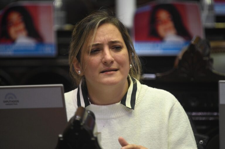 La diputada nacional Lucila Lehmann rechaza la instalación de La Salada en la provincia de Santa Fe