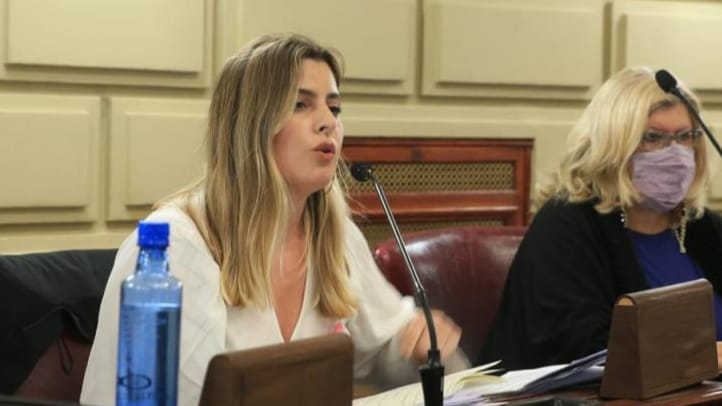 Cattalini: ” Por la incapacidad de gestión de Perotti, la provincia podrá comprar la mitad de los equipamientos para seguridad”