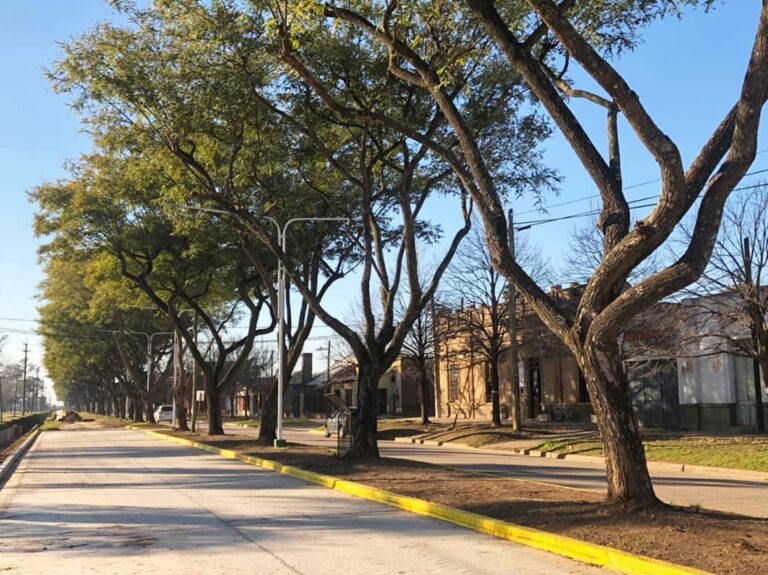 Arranca la campaña de prevención del dengue en San Jerónimo Sud