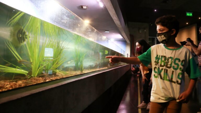 El Acuario del Río Paraná celebra su 8° aniversario con actividades abiertas y gratuitas para toda la familia