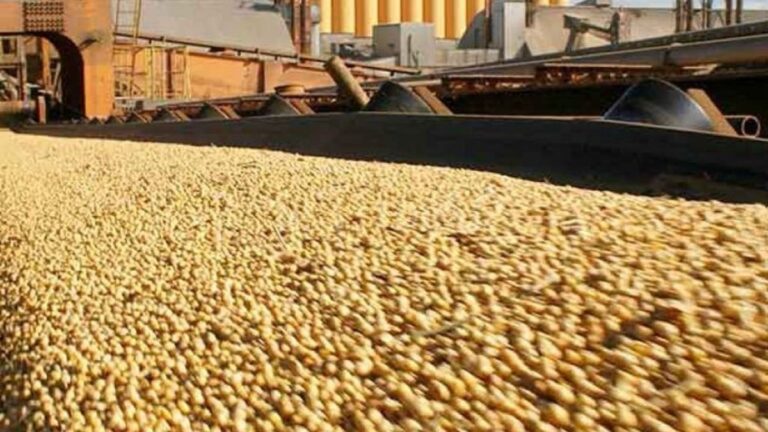 Crecieron 63,2% las exportaciones con origen en Santa Fe