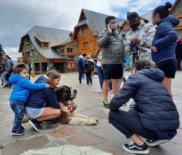 PreViaje 3: las novedades del programa que podría ser ley