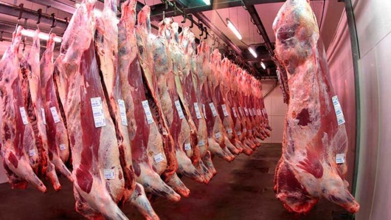 Los ingresos por exportaciones de carne bovina crecieron 26% interanual en el primer trimestre