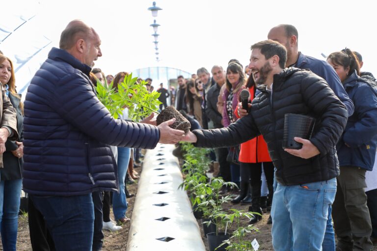 El gobierno provincial inauguró su primera plantación de cannabis medicinal