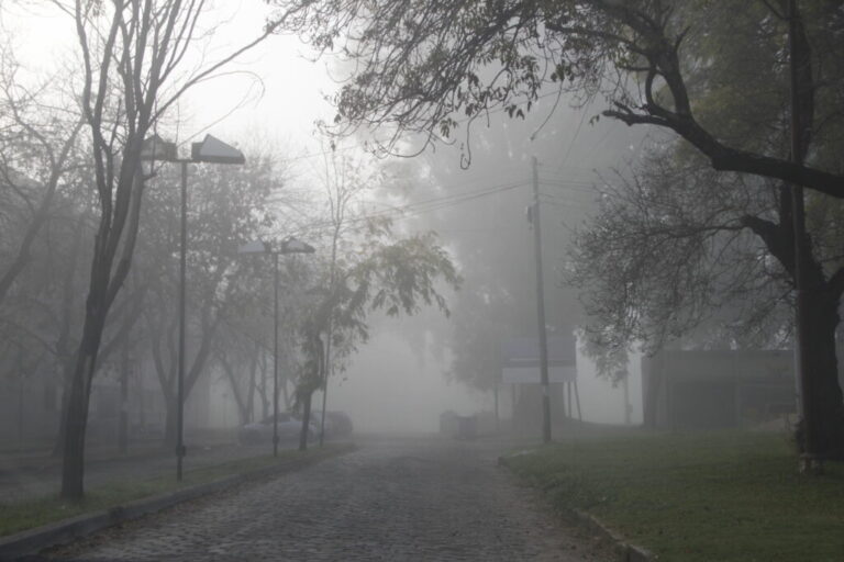 La contaminación por el humo superó 17 veces el límite establecido por la OMS