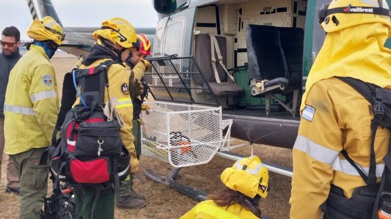 El Gobierno de Santa Fe realizó una nueva presentación en la Justicia Federal por los focos ígneos en el Delta del río Paraná