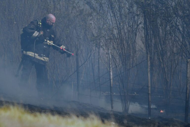 Perotti le pidió al Presidente el envío de las Fuerzas Armadas para combatir el fuego