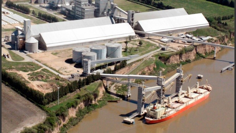 En lo que va del año, la agroindustria liquidó divisas por un monto récord