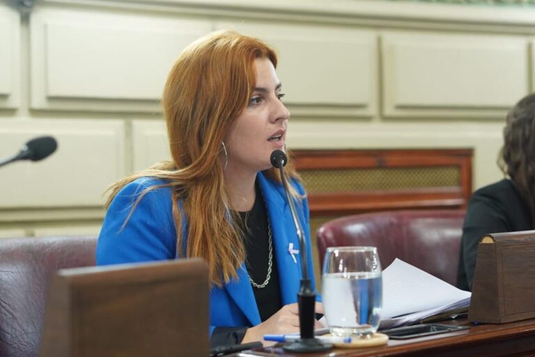 Cattalini: “Todos sabemos donde se comercializan los cables robados, el Estado debe accionar ya”