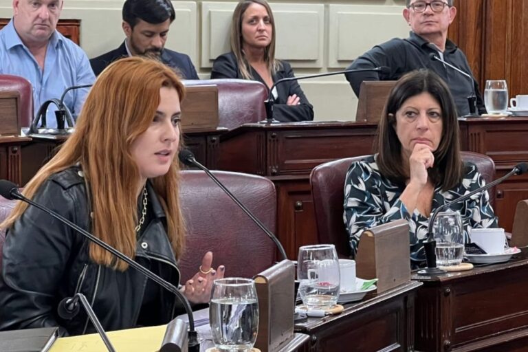 Cattalini tras reunión con Rimoldi: “En casi un año, apenas ejecutaron el 1,5% de la Ley de Emergencia en Seguridad”