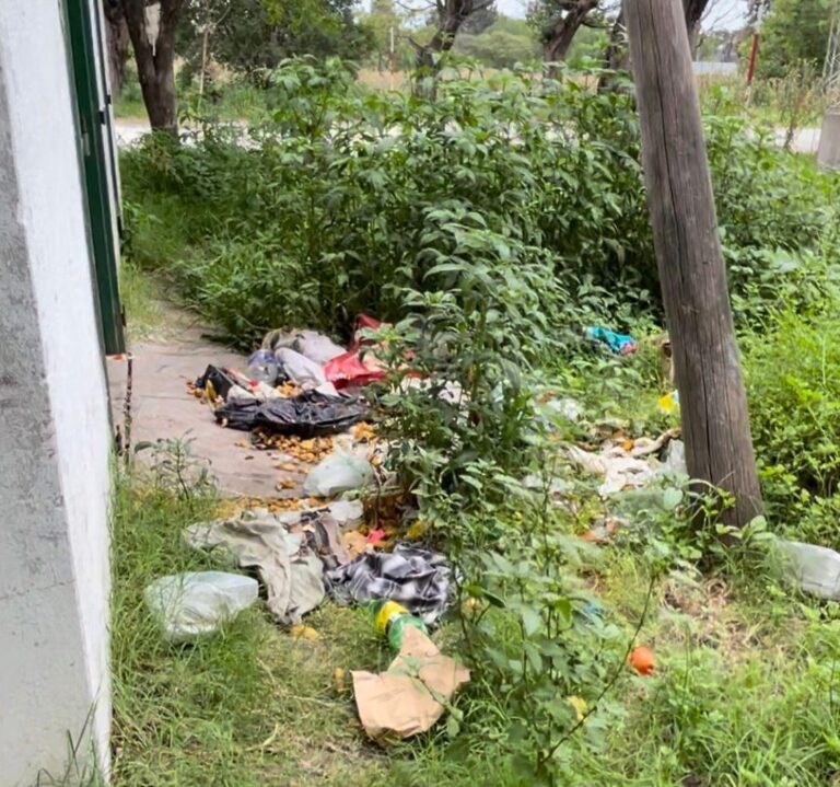 Piden eliminar aguantadero en terreno provincial del ex batallón frente a la PDI