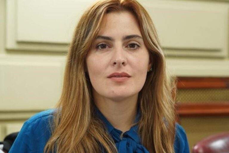 Es Ley el proyecto de Cattalini contra la compra y venta ilegal de cables