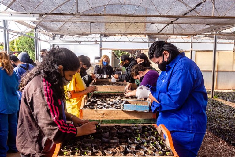 El municipio lanza nuevos cursos sobre jardinería y paisajismo: cuándo se dictan y cómo anotarse