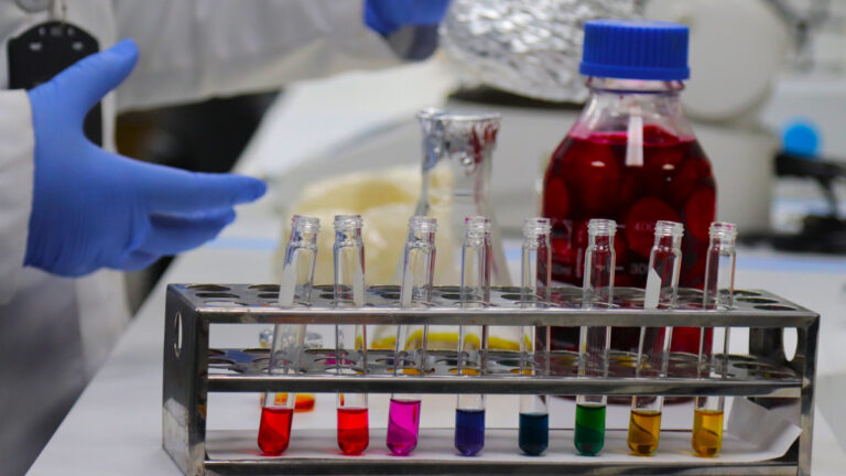 Santa Fe invirtió más de 140 millones de pesos en proyectos de investigación científica en 2023
