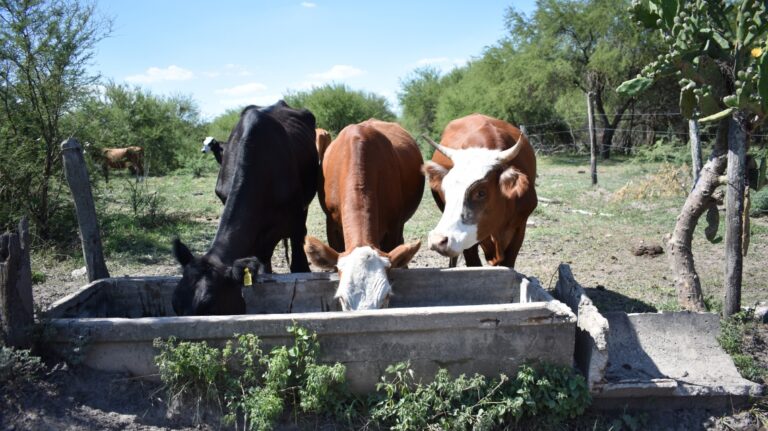 Inscriben en Santa Fe a productores afectados por la sequía para créditos sin interés