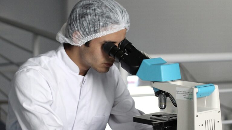 Exploran nuevas estrategias para combatir bacterias resistentes a los antibióticos