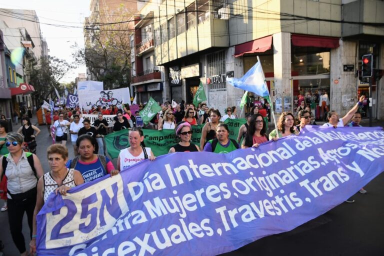 Rosario marcha en el Día Internacional de la Lucha contra la Violencia hacia la Mujer