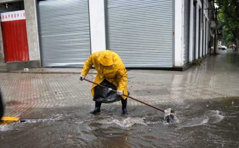 Más de 100 reclamos por caída de árboles debido al temporal en Rosario