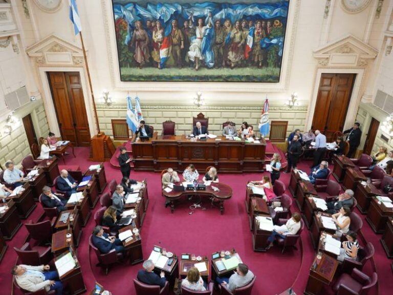 Santa Fe: Diputados convirtió en ley el nuevo Código Procesal Penal Juvenil