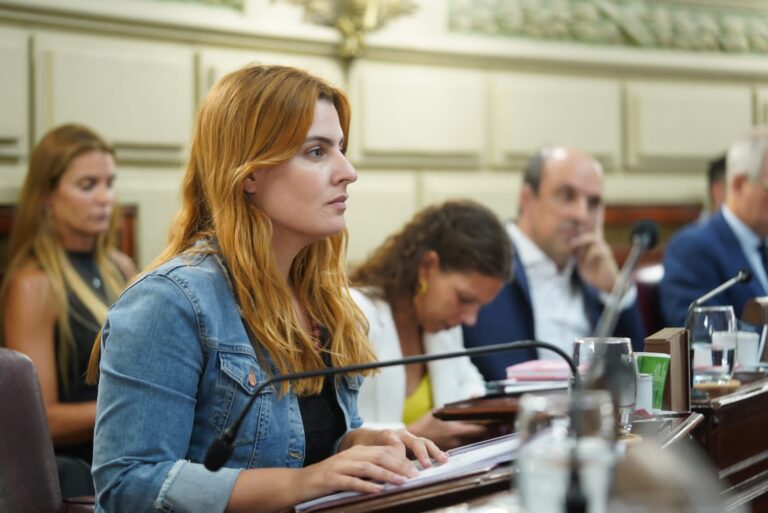 Diputados aprobó una reforma para fortalecer al Ministerio Público de la Acusación