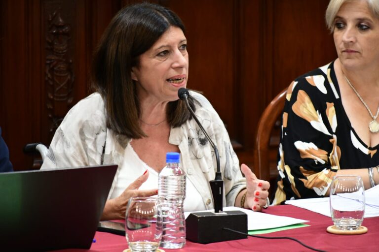 Clara García: ”La decisión de eliminar los subsidios nacionales al transporte es arbitraria e insensible, y perjudica a la gente”