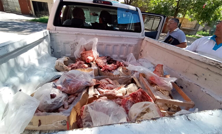 Algo huele mal: secuestran 540 kilos de carne en mal estado en un galpón de Fisherton