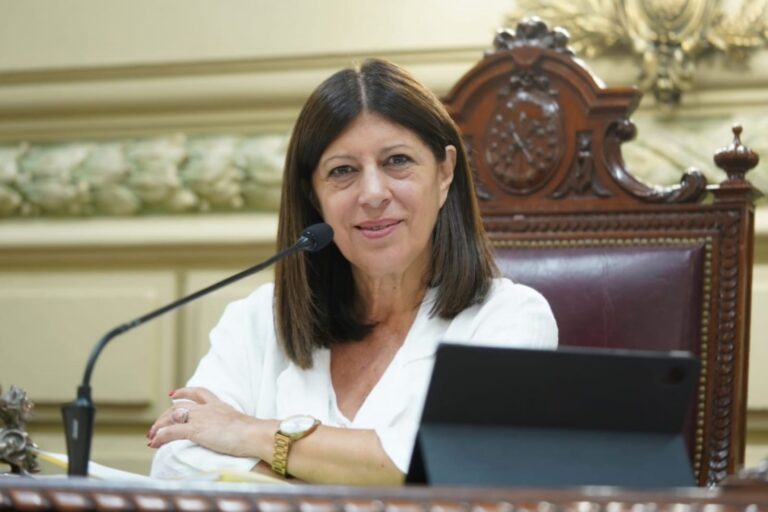 Clara García: “Con la ley de prosumidores, Santa Fe avanza en la transformación de su matriz energética”