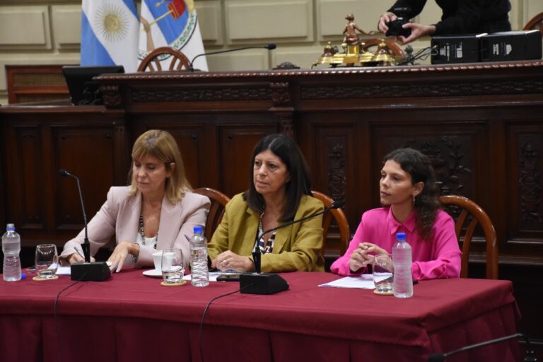 Rectores de las universidades públicas y directivos del Conicet expusieron su situación en la Legislatura