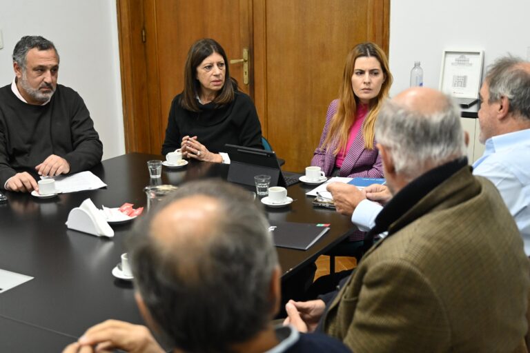 Clara García y Lionella Catallini impulsan un proyecto para priorizar el “Compre Santafesino”