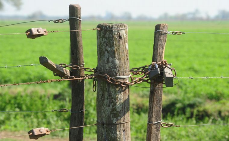 Santa Fe: delitos rurales se pueden denunciar de manera virtual