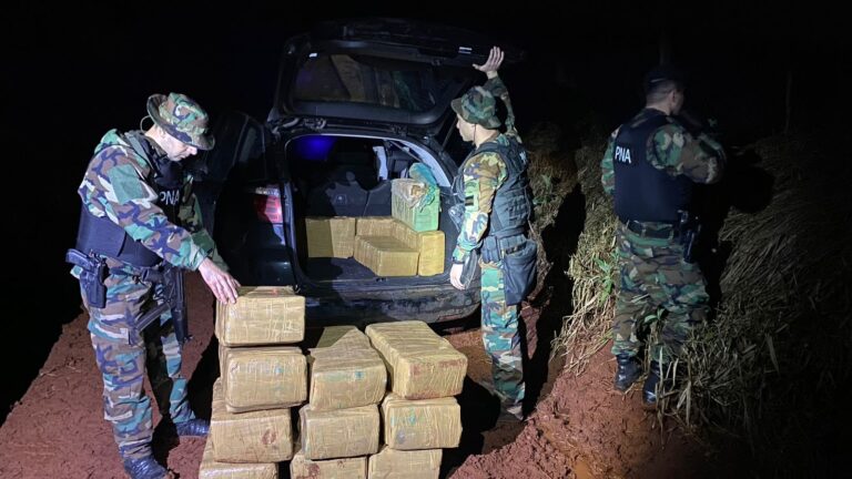 Operativo en Misiones: Prefectura decomisó un cargamento millonario de marihuana