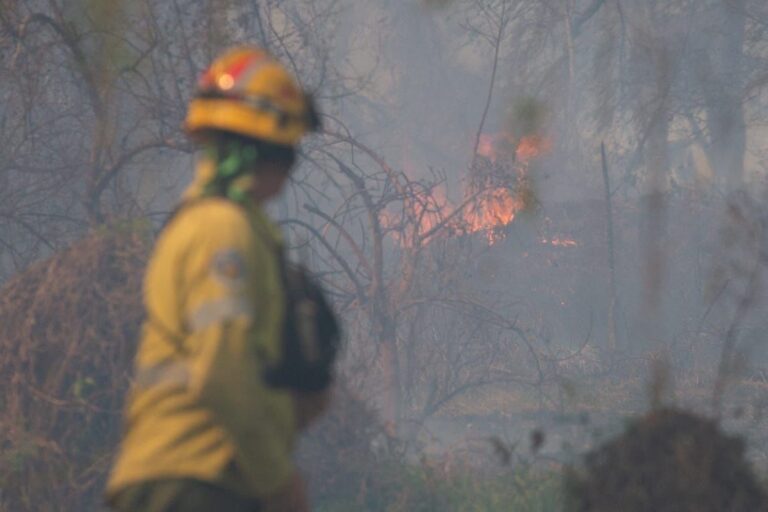 Brigadistas forestales de Santa Fe combaten focos ígneos en zona de islas entrerrianas