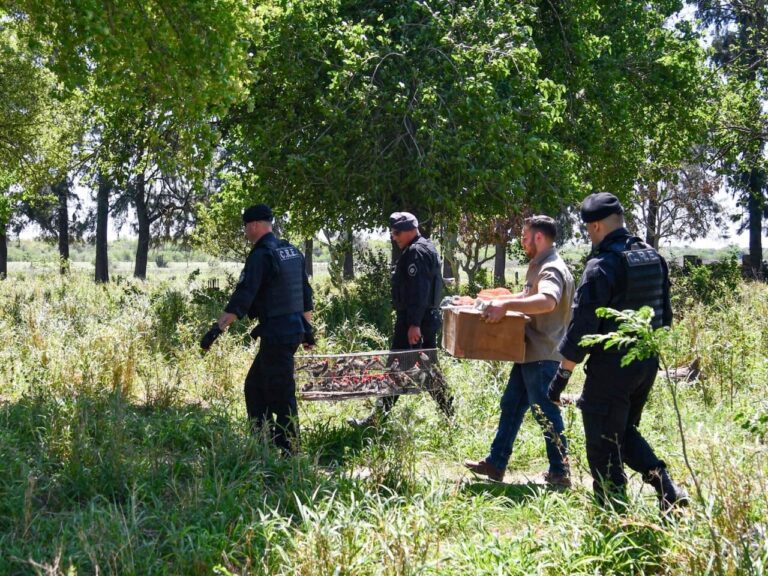 Santa Fe endurece las multas contra la caza y el comercio ilegal de fauna silvestre